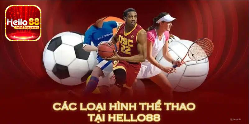 Các loại hình thể thao Hello88