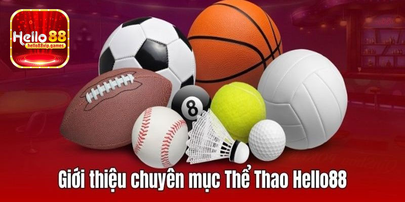 Giới thiệu sảnh thể thao Hello88